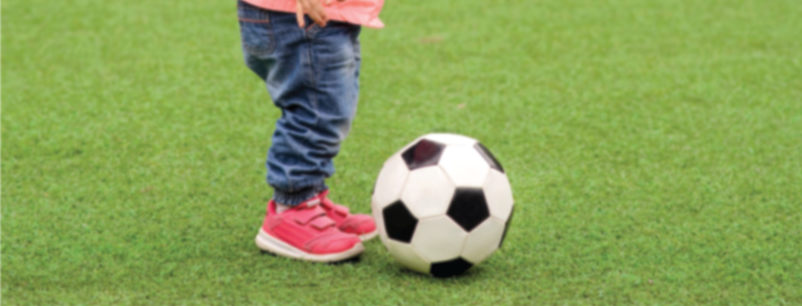 Sports & Physical Education Banner