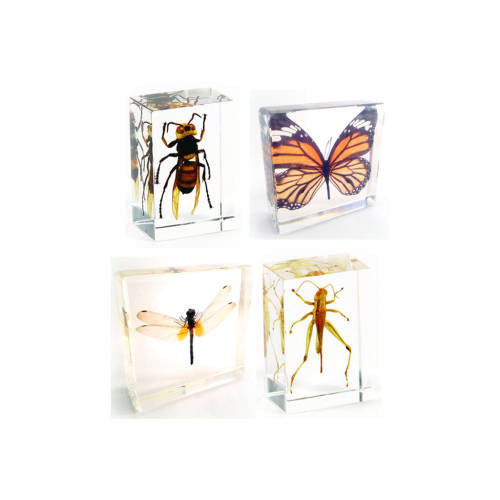 Science & Discovery Value Pack - Educating Kids