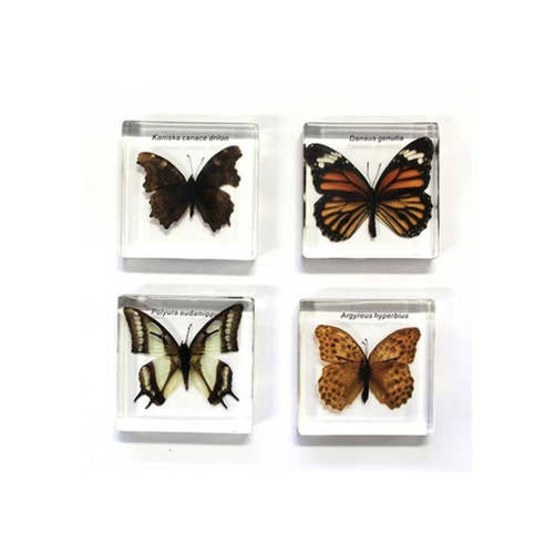 Science & Discovery Value Pack - Educating Kids