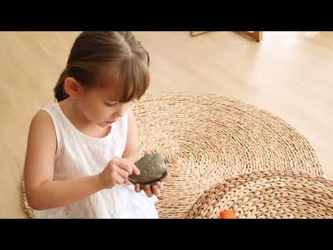 PlanToys - Seafood Platter