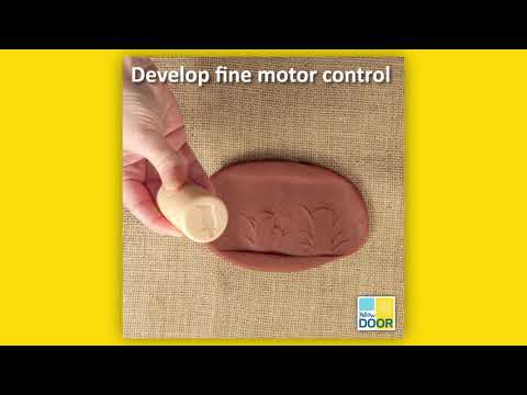 Pond Life Rollers - Set of 6