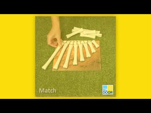 Dinosaur Bones Match and Measure Set