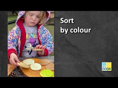 Let's Investigate Nature - Set of 8