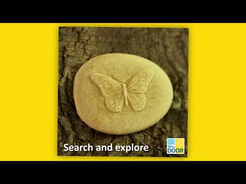 Play & Explore Bugs - Set of 8