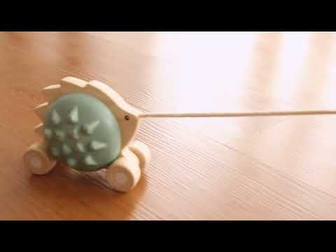 PlanToys - Pull-Along Hedgehog