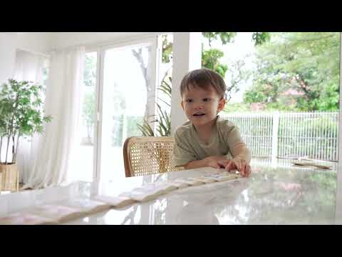 PlanToys - Animals Matching