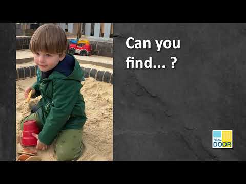 Let's Investigate Seashore - Set of 8